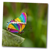 Beautiful design