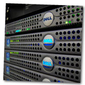 Web hosting