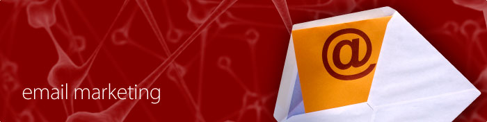 search engine optimisation